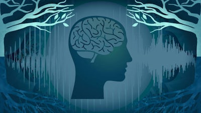 Consciousness of Sound