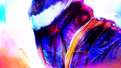 Emersion Season 3 Highlights