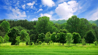 The Other Side of Eden (Nancy Steinbeck)