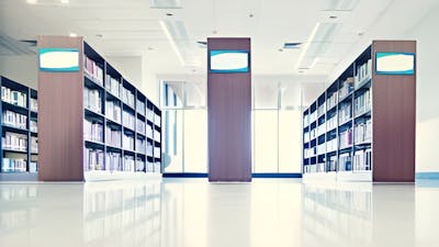 Explorando los Registros Akáshicos, con Bill Foss