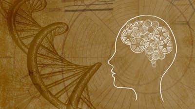 Évolution en pleine conscience