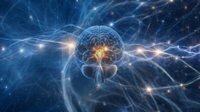 ¿Cómo descalcificar la glándula pineal? – Parte 2