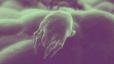 Detoxifying Your Home