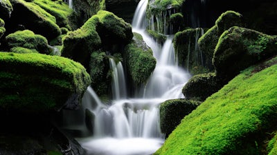 Mantra de abundancia