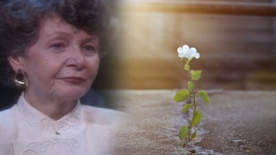 Marion Woodman