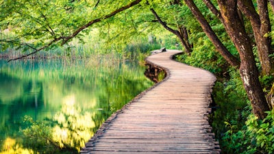 Gratitude Visualization for Weight Loss