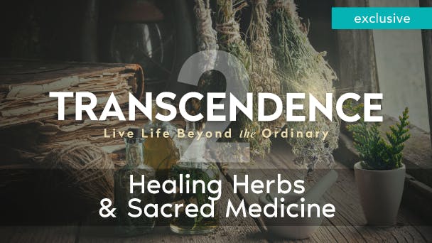 Healing Herbs & Sacred Medicine