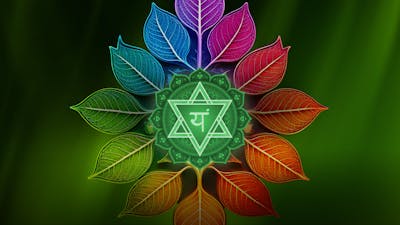 Chakra del Corazón: abraza la compasión