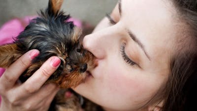 Learning to Communicate with Animals with Amelia Kinkade