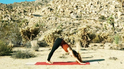 Earth Prayer Yoga