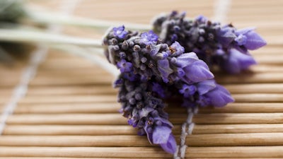 Barbara Marciniak on the Pleiadians