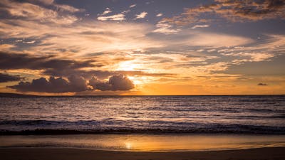 Chérir les instants précieux