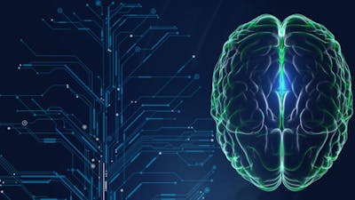 Introducción a Tu Cerebro 