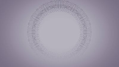 Connection: Check In