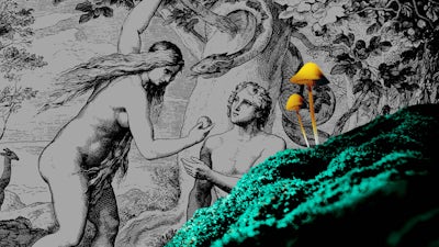 The Forbidden Fruit of Psychedelics with Dennis McKenna