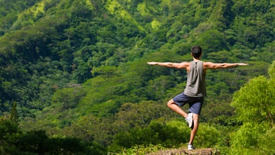 Living Warrior Visualization