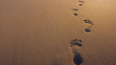 10 Things to Know Before You Go with Dannion Brinkley