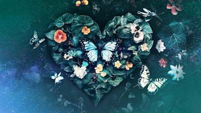 Soften the Heart Layers