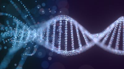 La cohérence vibratoire