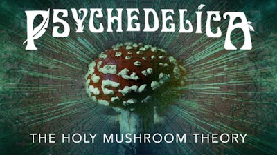 The Holy Mushroom Theory