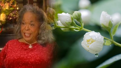 Della Reese