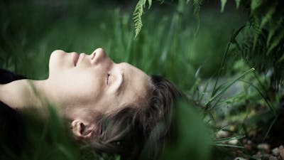 Healing Dreams with Robert Moss