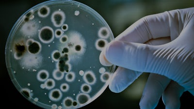 Mercury & Antibiotic Resistant Bacteria