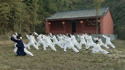 The Immortal Path: The Tao of Tai Chi Chuan