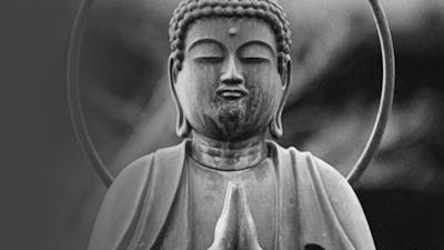 The Life of Zen