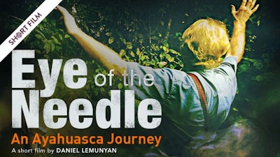 Eye of the Needle: An Ayahuasca Journey