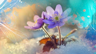 Vertraue dem Neubeginn