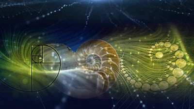 Geometría de la Vida Codificada