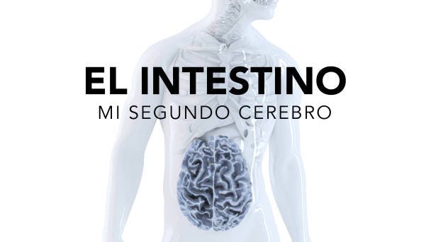 El intestino: mi segundo cerebro