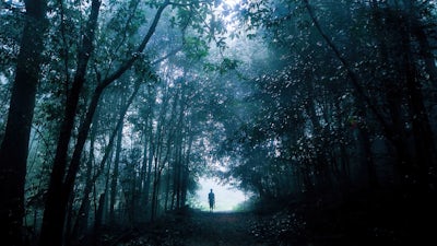 Die Übersinnlichen - Extra