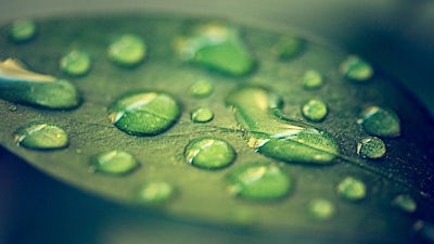 Glenda Green on Sacred Touch Essential Oils