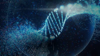 Transcender les Manipulations Génétiques