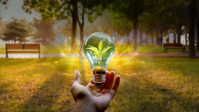 Bio-Ecología Espiritual