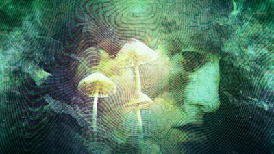 Psilocybin: The Magic of Mushrooms