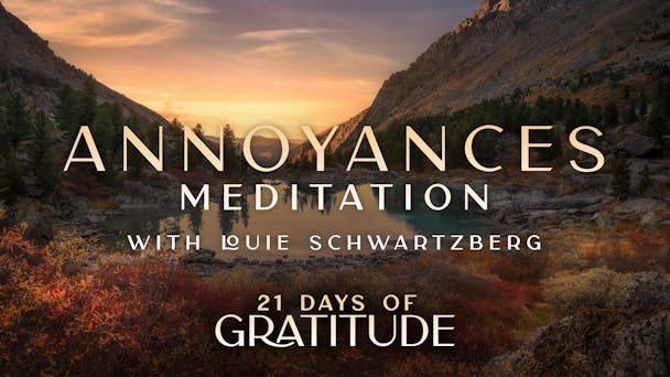 Annoyances - Meditation 