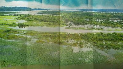 Brésil - Les médecines du Xingu