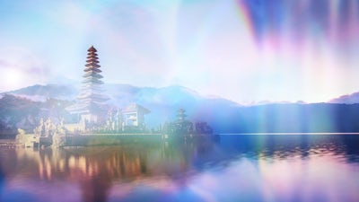 Die Physiologie des Chi