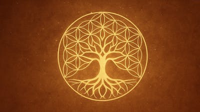 Tu proyecto como un ser vivo