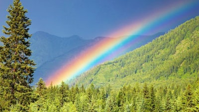 Afrontar la pérdida de un ser querido