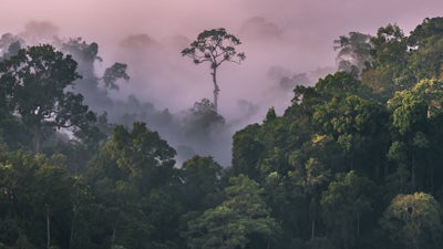 Miracle Mindset for Healing: Audio Meditation