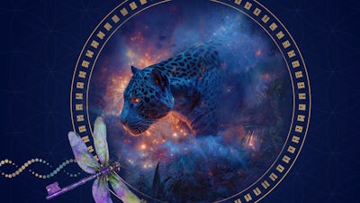 Activation Sequence: From Shadow to Purpose