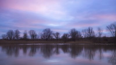 Time Out from Overwhelm: Audio Meditation