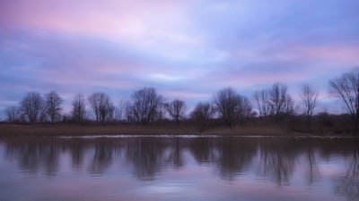 Time Out from Overwhelm: Audio Meditation