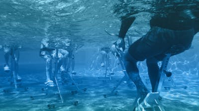 Below Surface