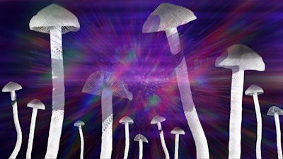 Les psychédéliques