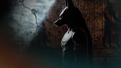 Anubis & Death Transition Zone